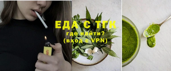 индика Новозыбков