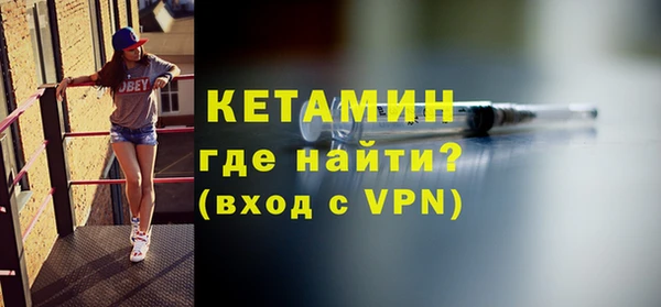 индика Новозыбков