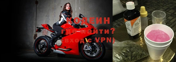 индика Новозыбков