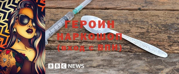 индика Новозыбков