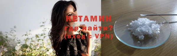 индика Новозыбков