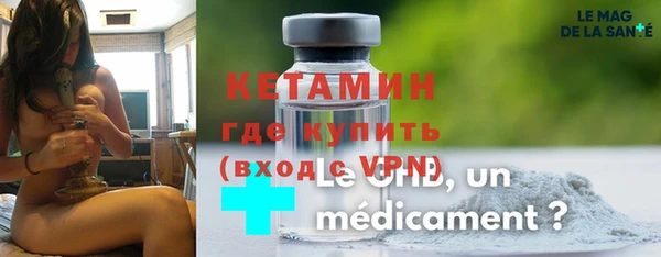 индика Новозыбков