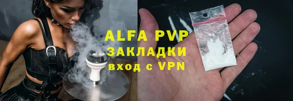индика Новозыбков