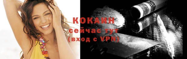 молекула духа Новодвинск