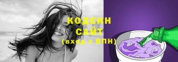 индика Новозыбков