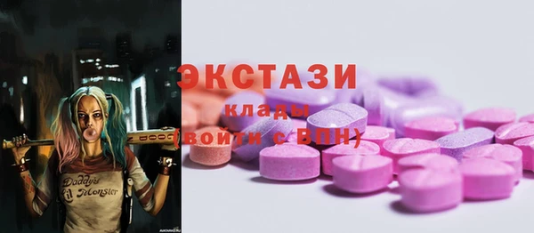 индика Новозыбков