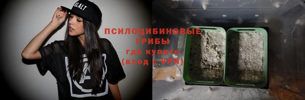 молекула духа Новодвинск
