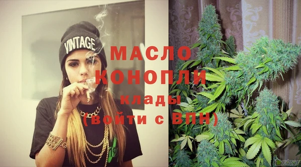 молекула духа Новодвинск