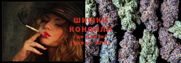 индика Новозыбков