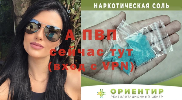 молекула духа Новодвинск