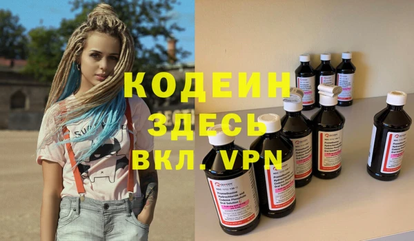 индика Новозыбков