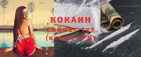 индика Новозыбков