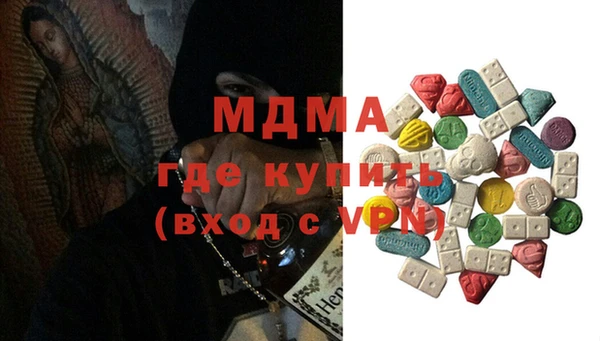 индика Новозыбков