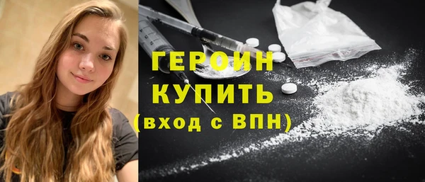 индика Новозыбков