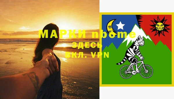 молекула духа Новодвинск