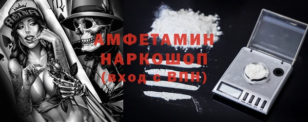 молекула духа Новодвинск
