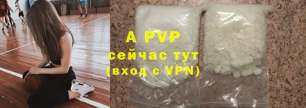 молекула духа Новодвинск