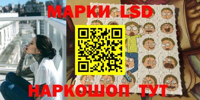 гидра Будённовск