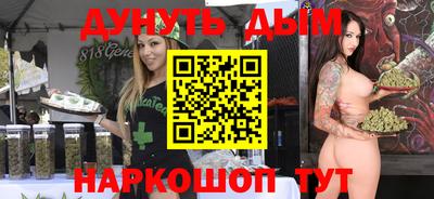 гидра Будённовск