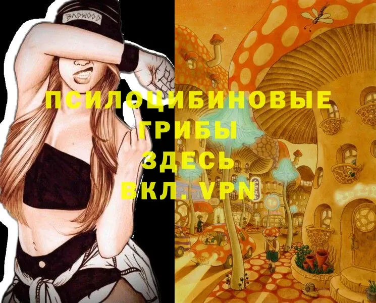 ОМГ ОМГ как войти  Железногорск  Псилоцибиновые грибы Magic Shrooms 