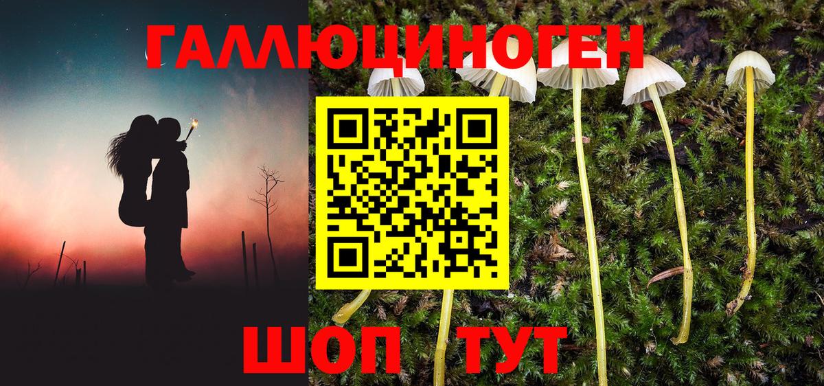 Железногорск  Галлюциногенные грибы мухоморы  Вход с VPN 
