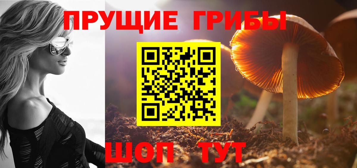 Галлюциногенные грибы мицелий Железногорск